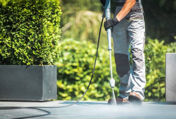 Best Pool Deck Cleaning  in Palmhurst, TX