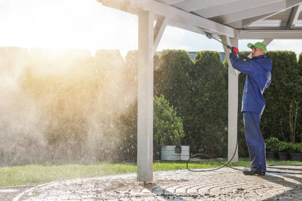 Best Paint Preparation  in Palmhurst, TX