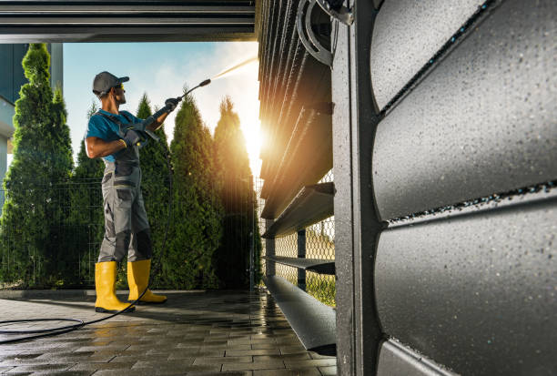 Best Roof Washing  in Palmhurst, TX